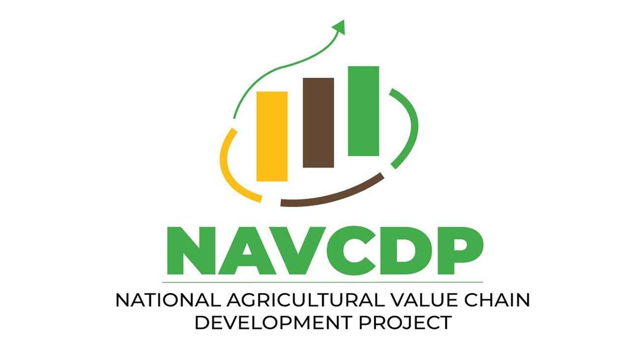 NAVCDP Logo